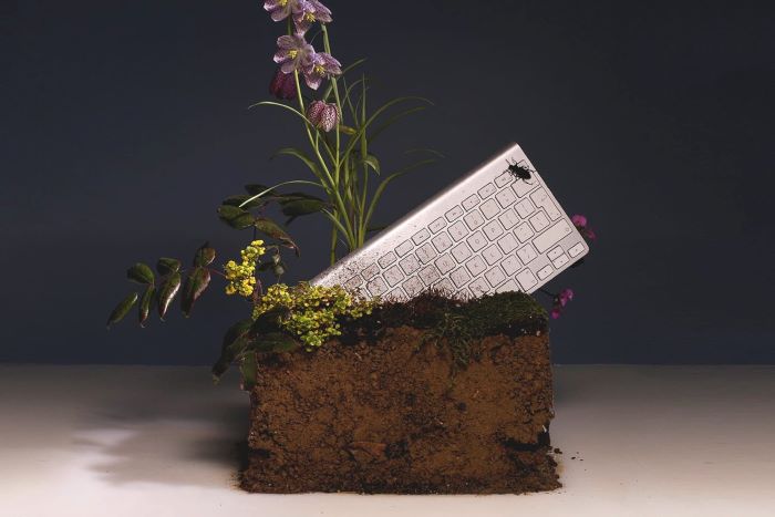 Náhledový obrázek článku: Myslíme i na přírodu